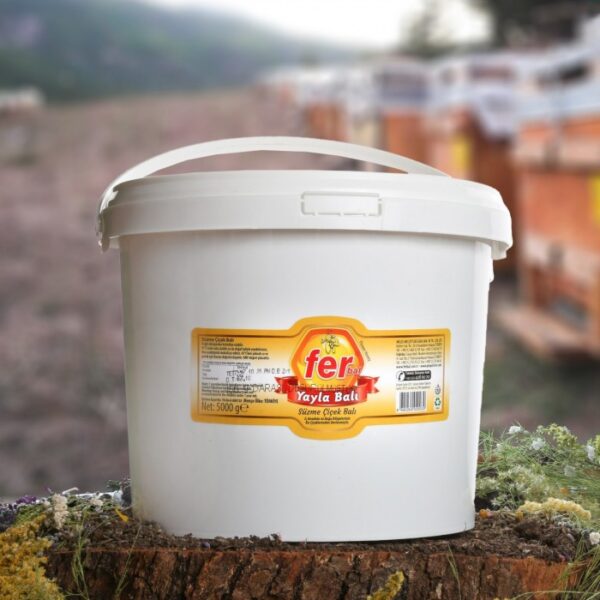Fer Yayla Balı Süzme 5 kg - Görsel 2